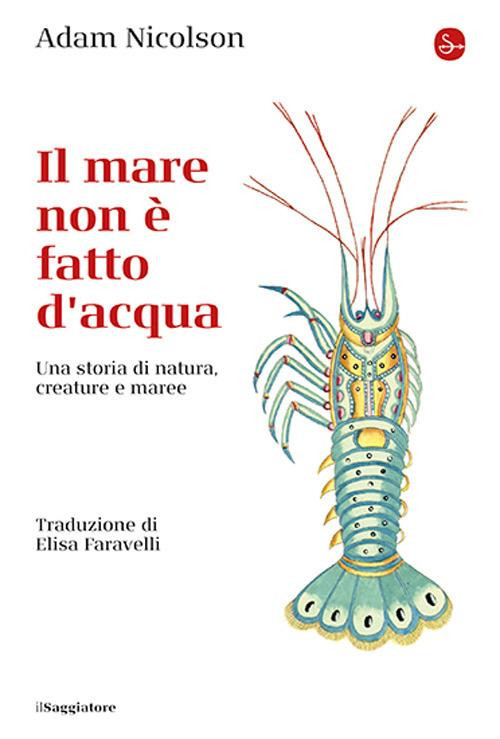 IL MARE NON E FATTO D ACQUA