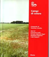 CAMPI DI COLORE