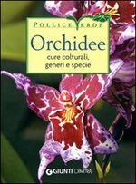 ORCHIDEE