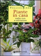 PIANTE IN CASA