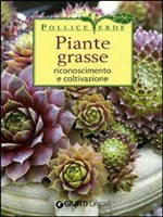 PIANTE GRASSE