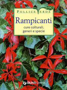 RAMPICANTI