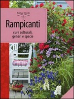 RAMPICANTI. CURE COLTURALI GENERI E SPECIE