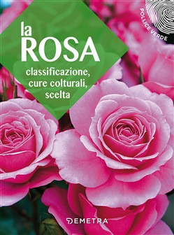 LA ROSA