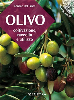 OLIVO