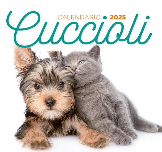 CUCCIOLI 2025