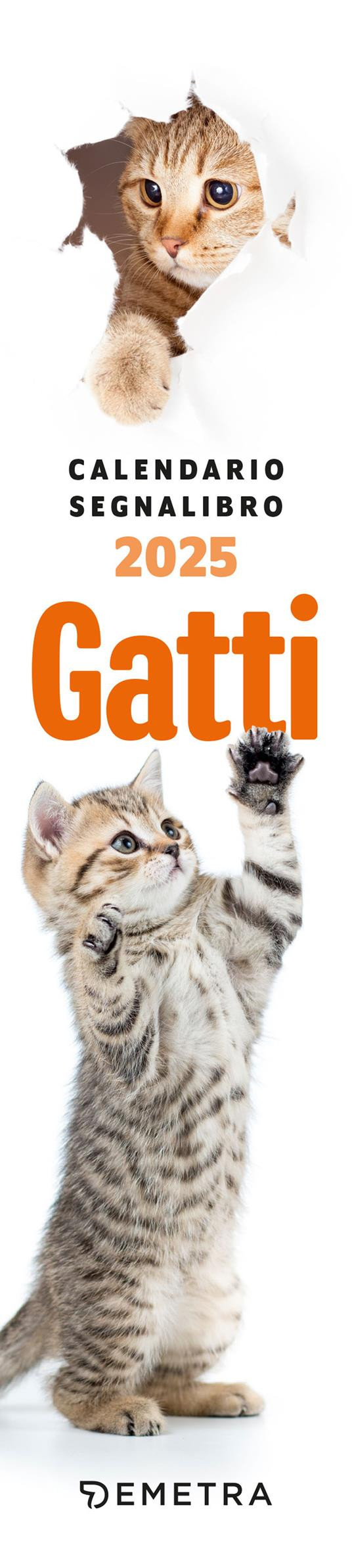 GATTI CURIOSI 2025