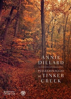 PELLEGRINAGGIO AL TINKER CREEK