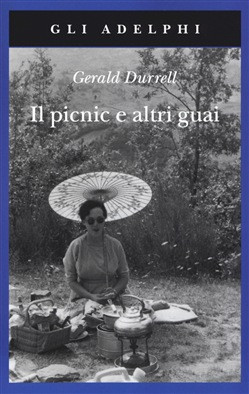 IL PICNIC E ALTRI GUAI