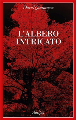 L ALBERO INTRICATO