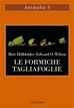 LE FORMICHE TAGLIAFOGLIE