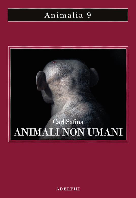 ANIMALI NON UMANI