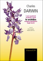 I VARI ESPEDIENTI MEDIANTE I QUALI LE ORCHIDEE VENGONO IMPOLLINATE DAGLI INSETTI