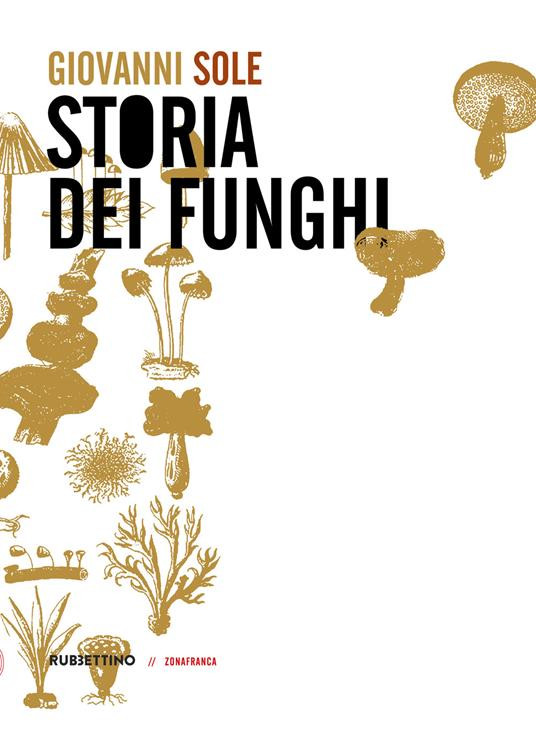 STORIA DEI FUNGHI