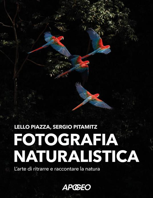FOTOGRAFIA NATURALISTICA