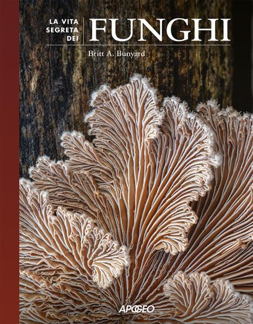 LA VITA SEGRETA DEI FUNGHI