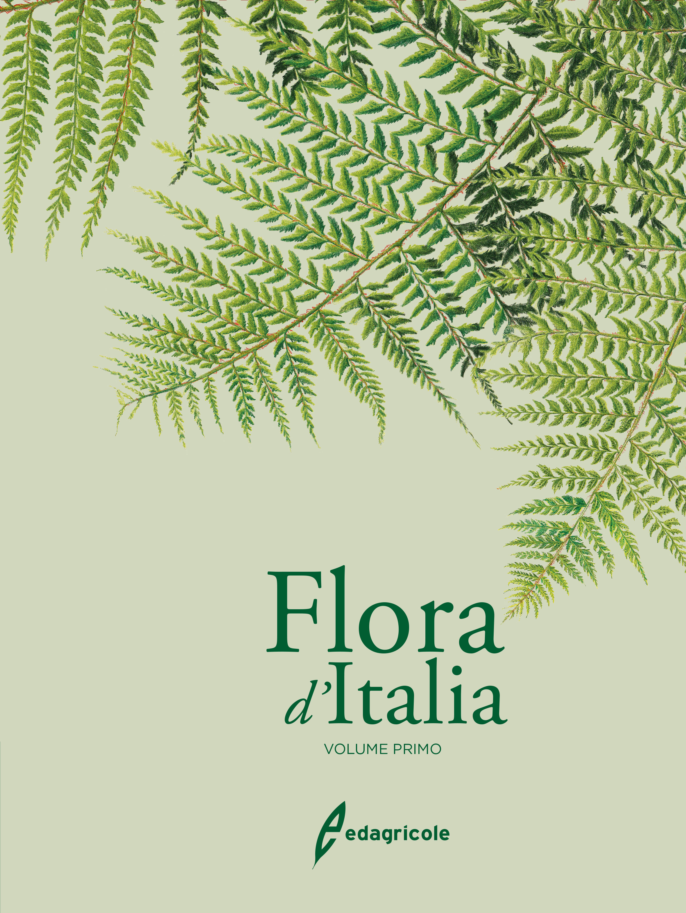 FLORA D ITALIA VOLUME 1