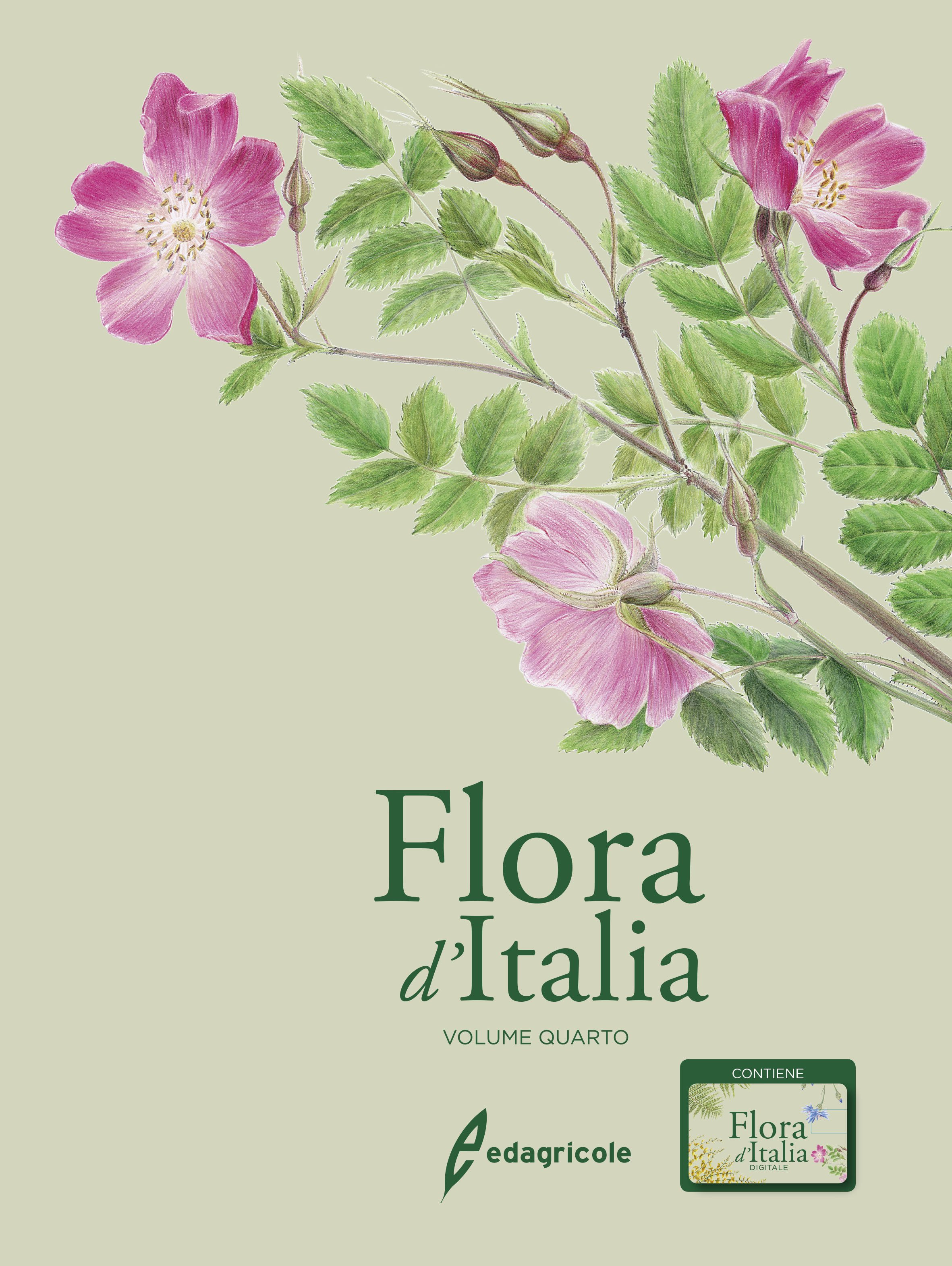 FLORA D ITALIA