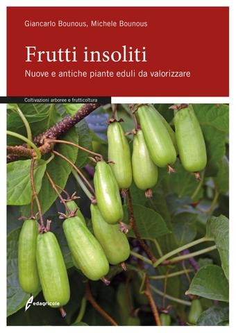 FRUTTI INSOLITI