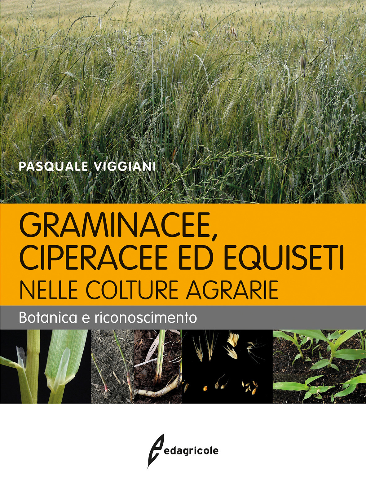 GRAMINACEE CIPERACEE ED EQUISETI NELLE COLTURE AGRARIE