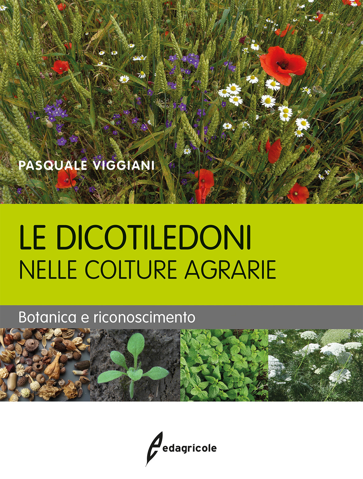 LE DICOTILEDONI NELLE COLTURE AGRARIE