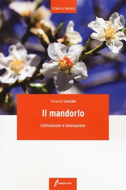 IL MANDORLO
