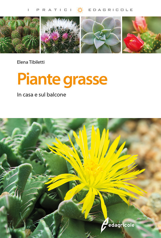 PIANTE GRASSE