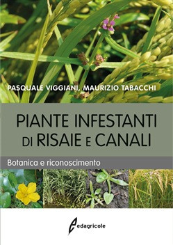 PIANTE INFESTANTI DI RISAIE E CANALI