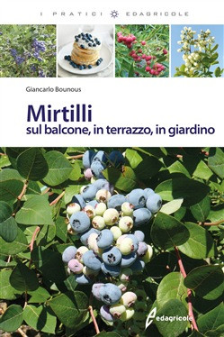 MIRTILLI