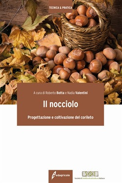 IL NOCCIOLO