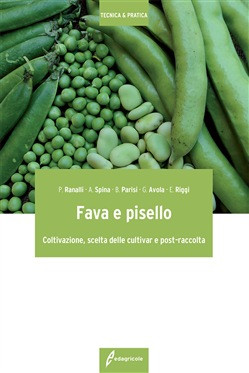 FAVA E PISELLO