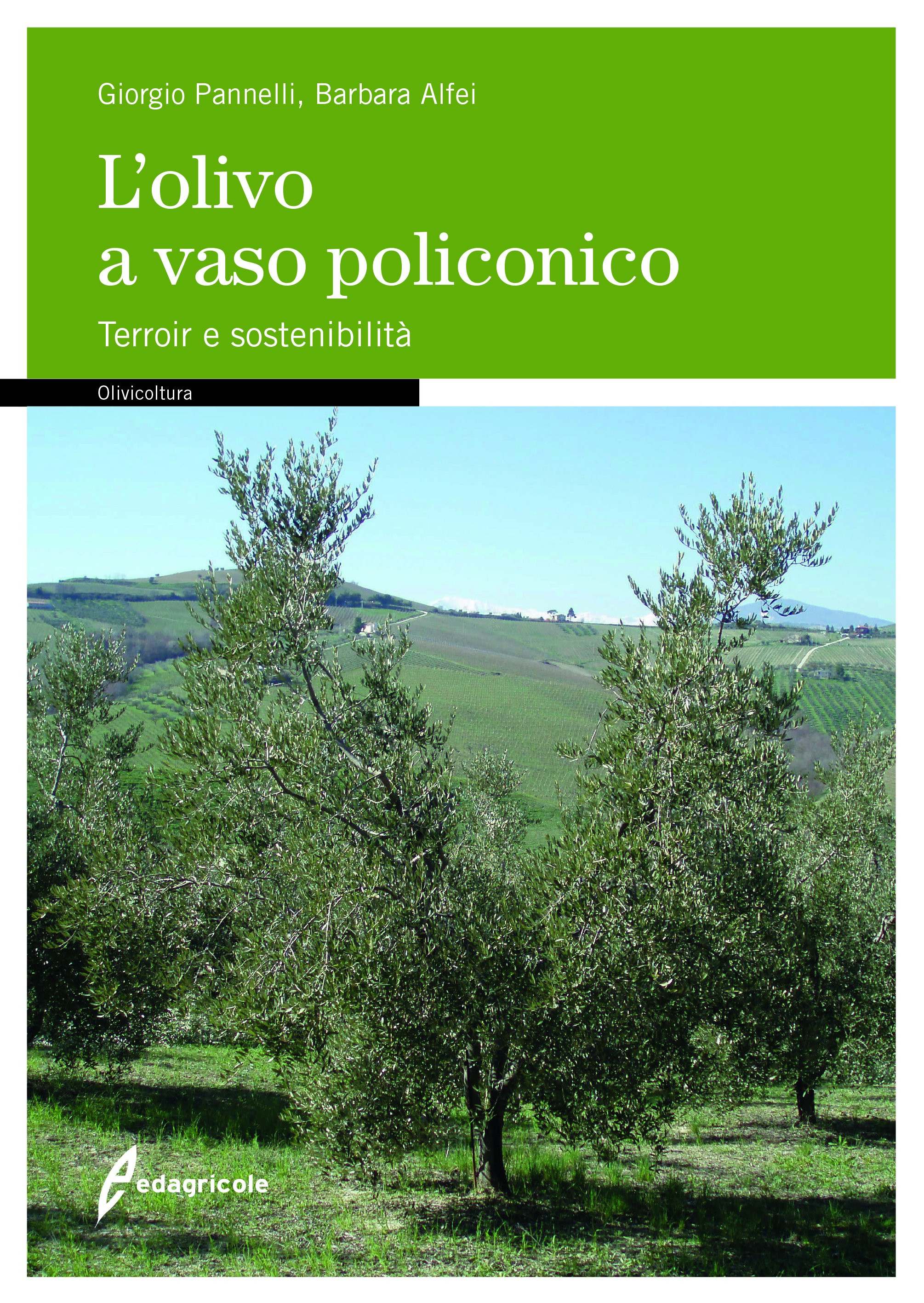 L OLIVO A VASO POLICONICO