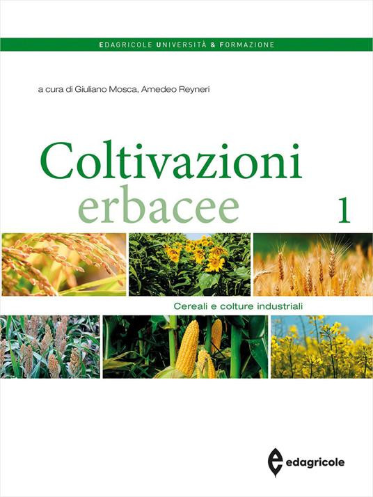 COLTIVAZIONI ERBACEE
