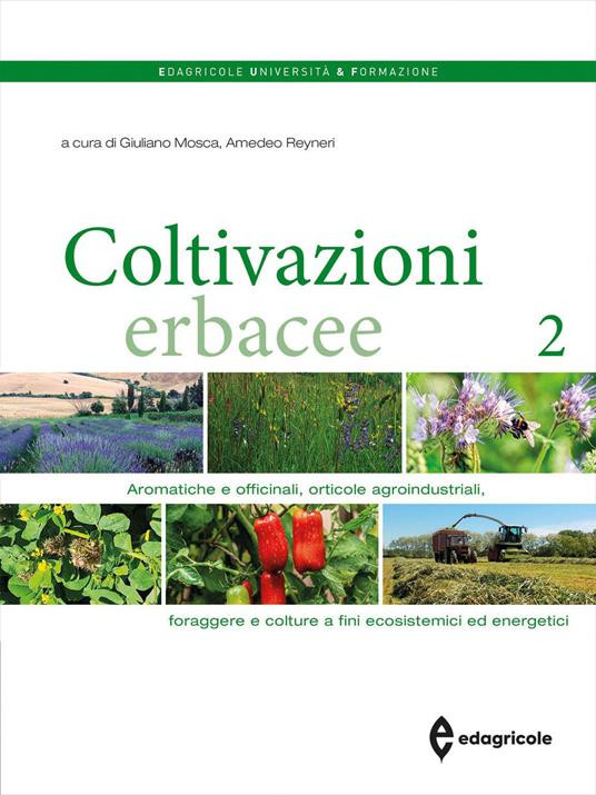 COLTIVAZIONI ERBACEE 2