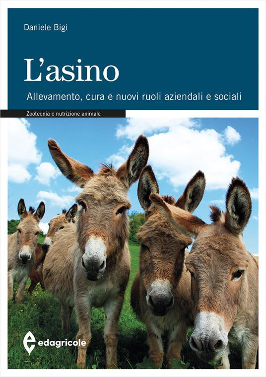 L ASINO