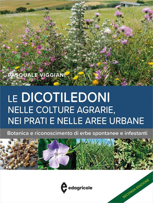 LE DICOTILEDONI NELLE COLTURE AGRARIE NEI PRATI E NELLE AREE URBANE