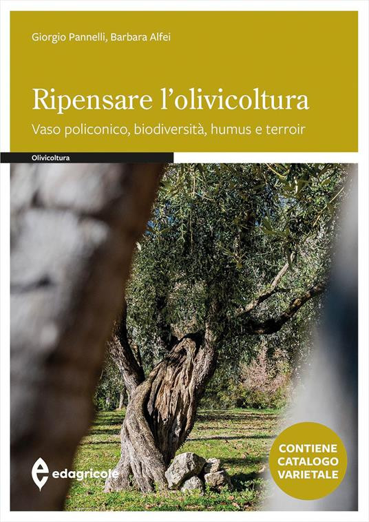 RIPENSARE L OLIVICOLTURA