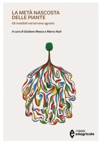 LA META NASCOSTA DELLE PIANTE