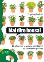 MAI DIRE BONSAI
