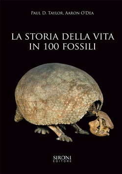 LA STORIA DELLA VITA IN 100 FOSSILI