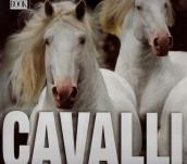 CAVALLI