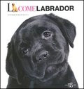 L COME LABRADOR