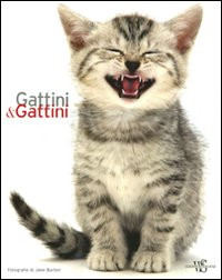 GATTINI