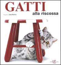 GATTI ALLA RISCOSSA