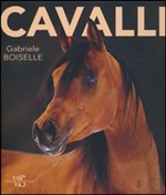CAVALLI