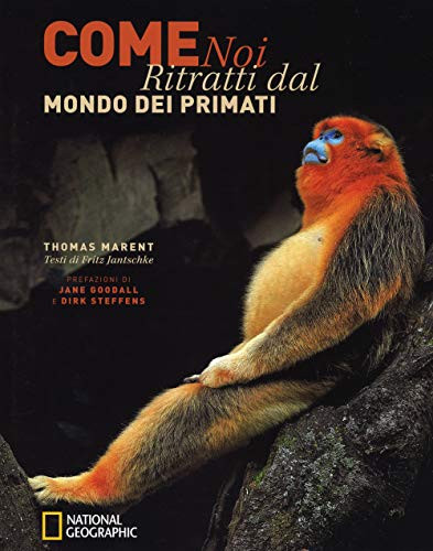 COME NOI. RITRATTO DAL MONDO DEI PRIMATI
