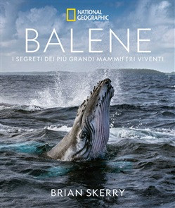 BALENE