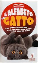 ALFABETO DEL GATTO