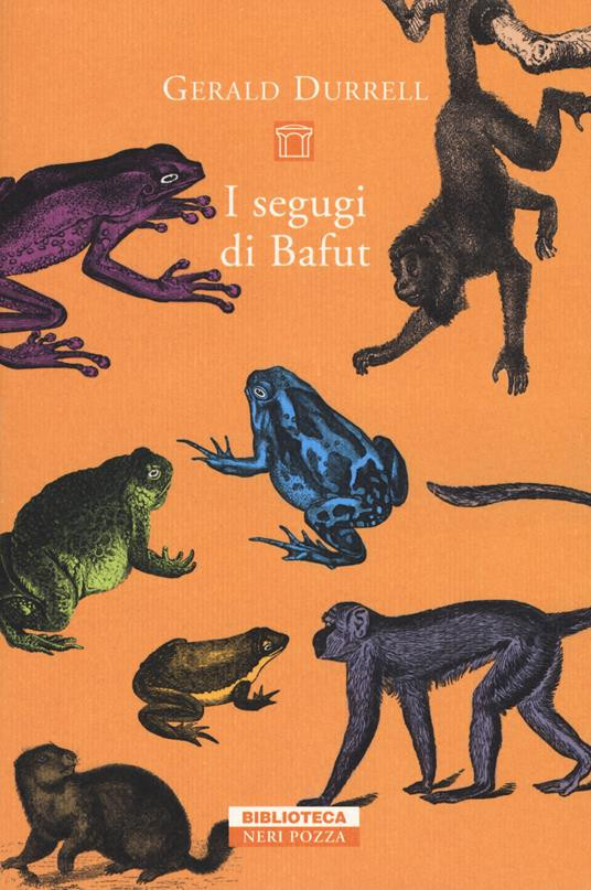 I SEGUGI DI BAFUT