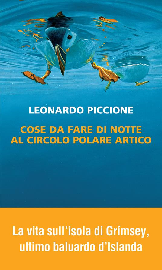 COSE DA FARE DI NOTTE AL CIRCOLO POLARE ARTICO